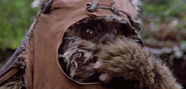 Blinking Ewok