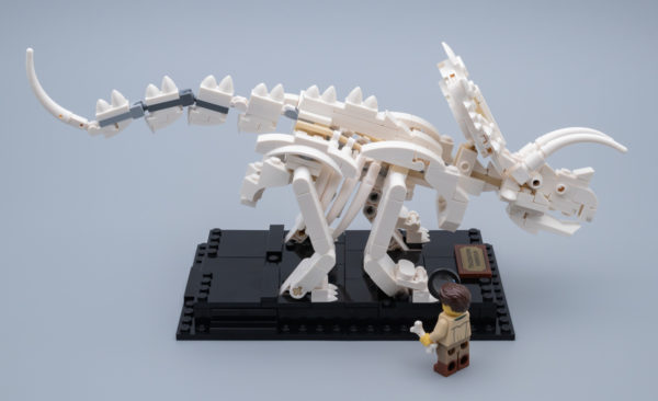 21320 lego ideas dinosaur fossils 16