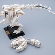 LEGO Ideas 21320 Dinosaur Fossils