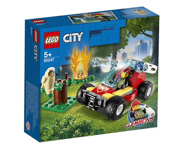 60247 Forest Fire