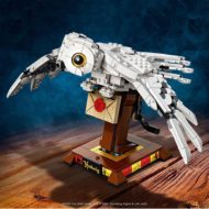 75979 Hedwig