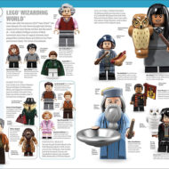 LEGO Minifigure A Visual History New Edition