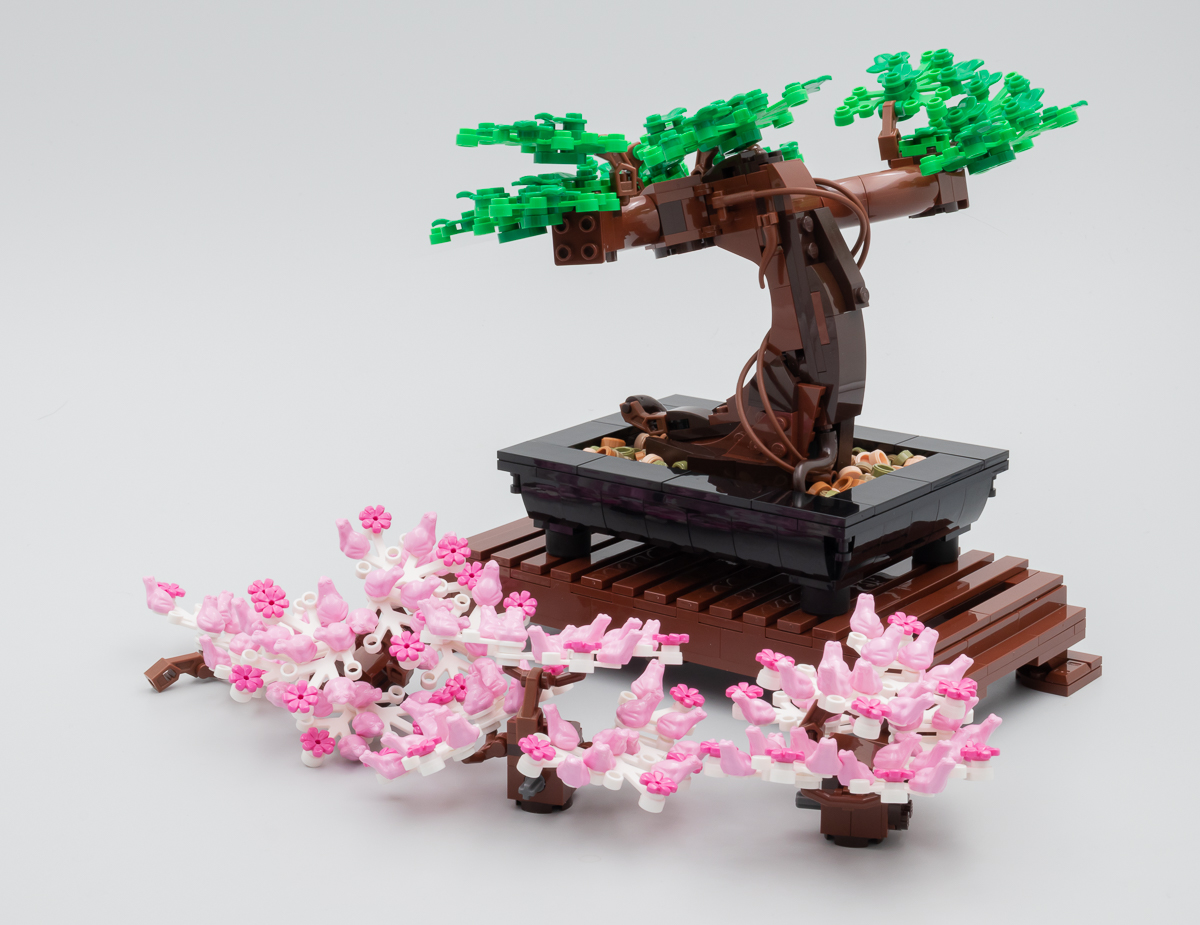 ▻ Review : LEGO Botanical Collection 10281 Bonsai Tree - HOTH BRICKS