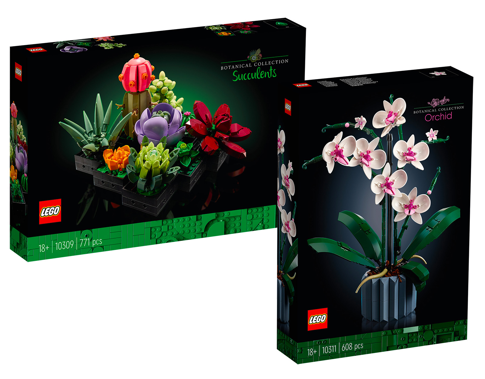 LEGO Botanical Collection Orchidee (10311) und Sukkulenten (10309)  offiziell vorgestellt