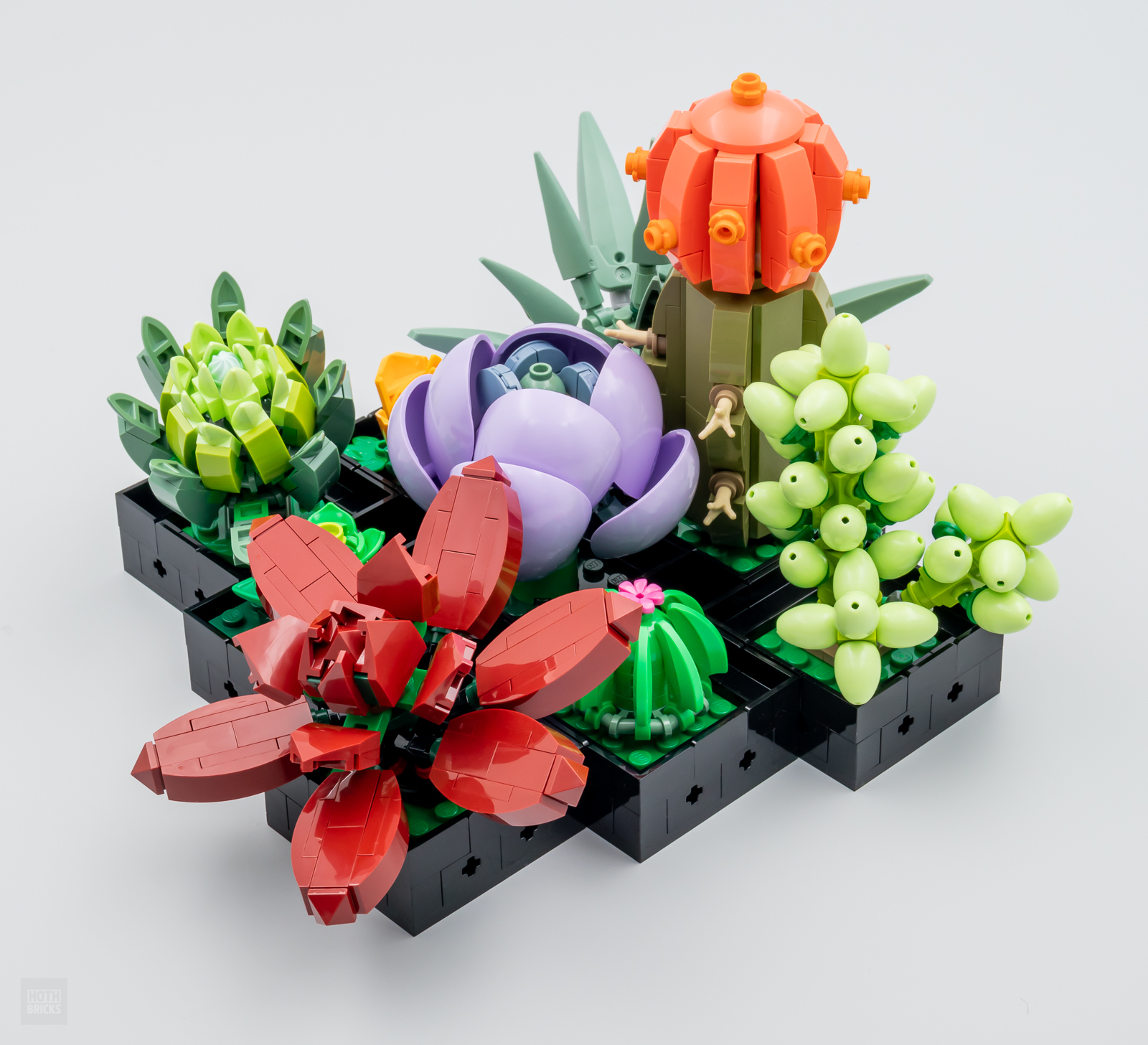 ▻ Review: LEGO Botanical Collection 10309 Succulents - HOTH BRICKS