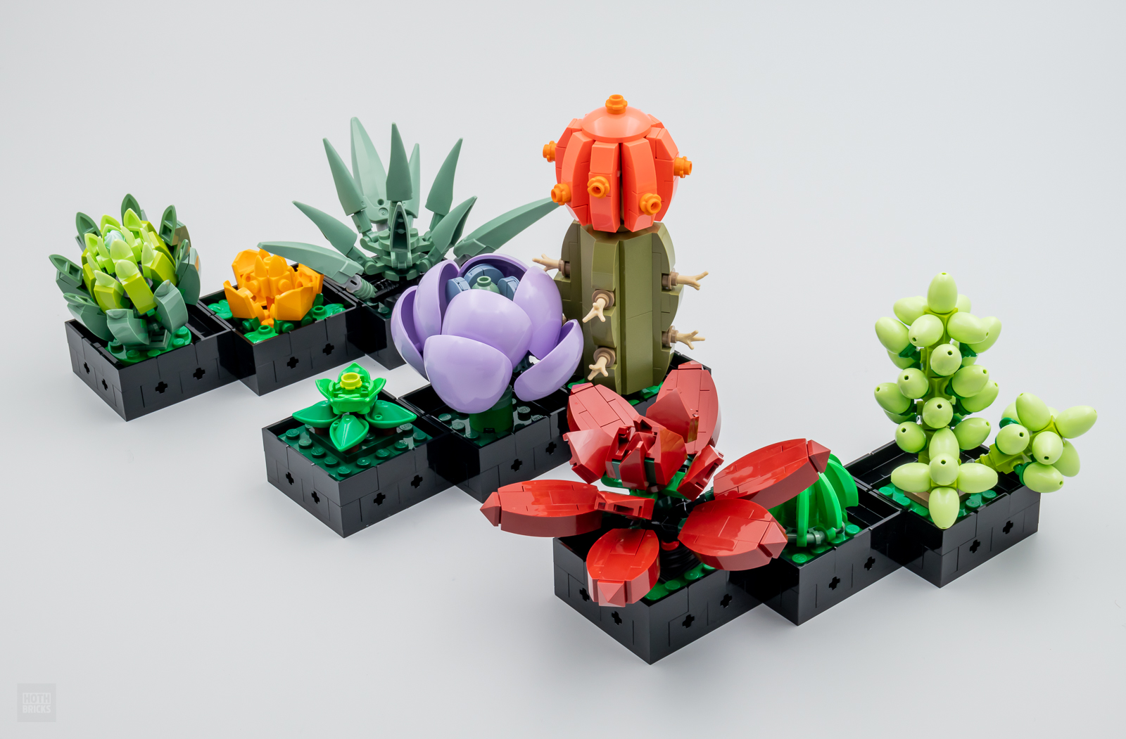 Review: LEGO Botanical Collection 10309 Succulents - HOTH BRICKS