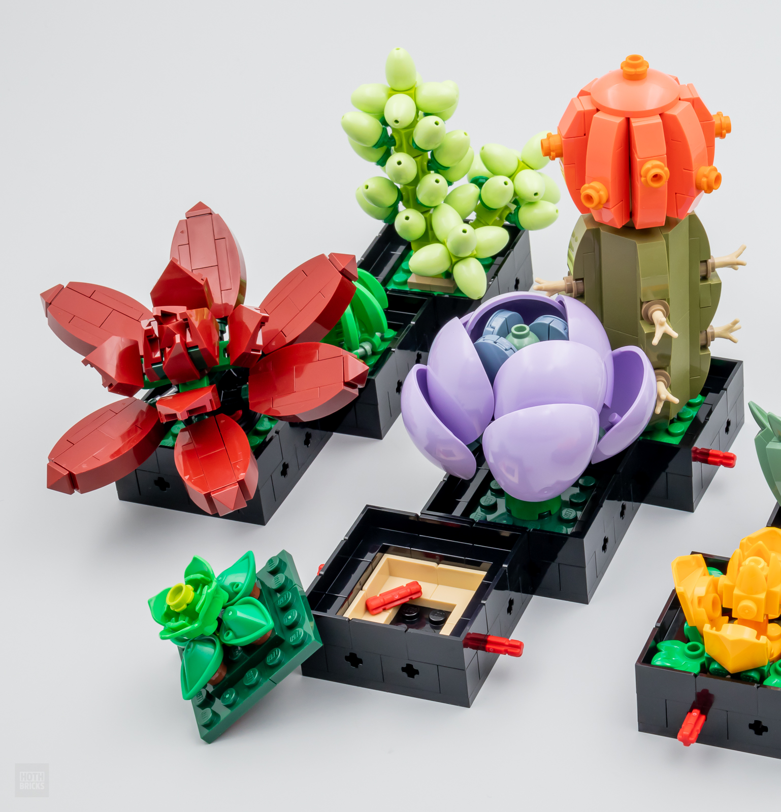 ▻ Nouveautés LEGO Botanical Collection : 10309 Succulents et 10311 Orchid -  HOTH BRICKS