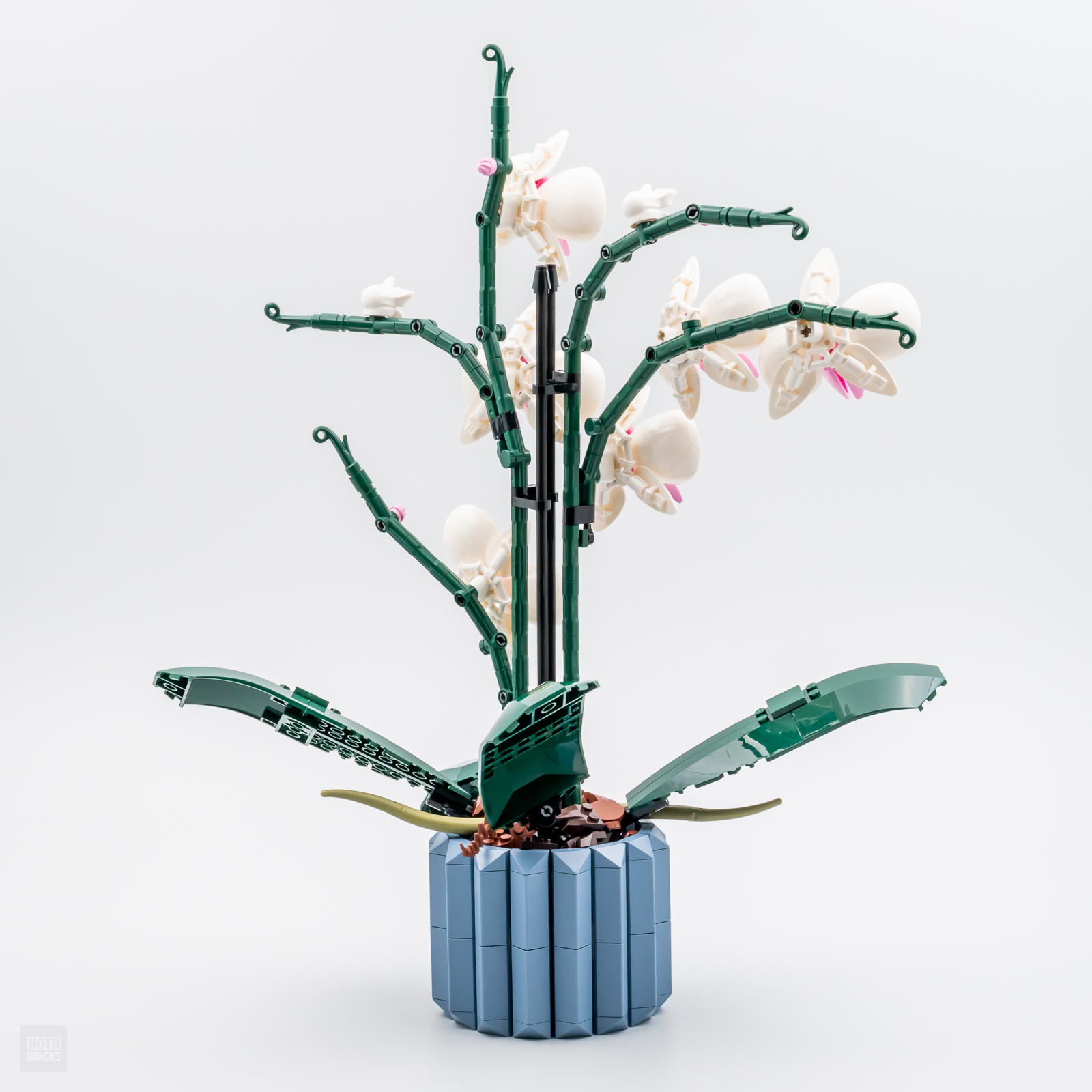 Lego - L'orchidée - Ombelle Fleuriste