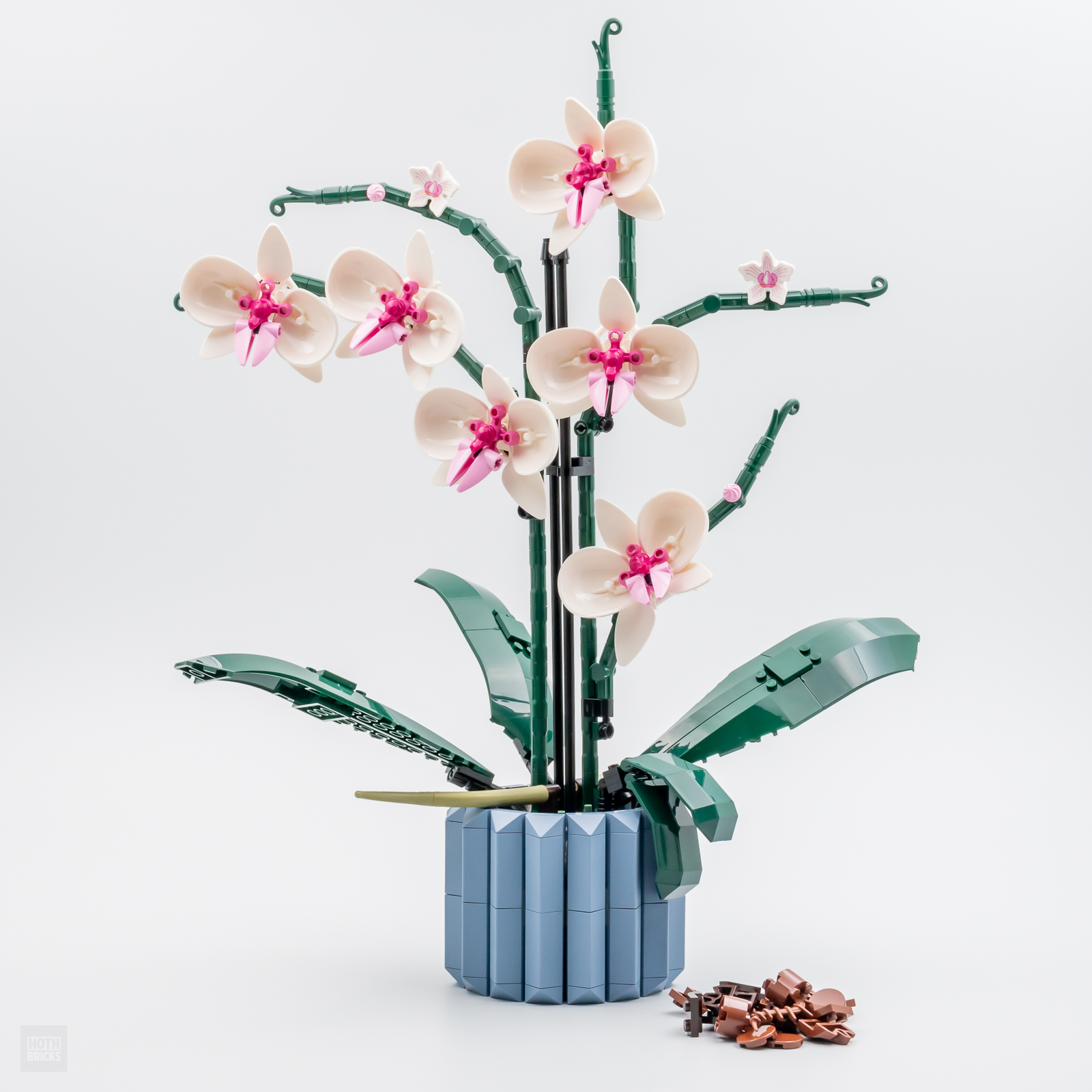 Végétations - Fleurs LEGO® - LEGO® Végétation Fleur Imprimé Orchidée - La  boutique Briques Passion