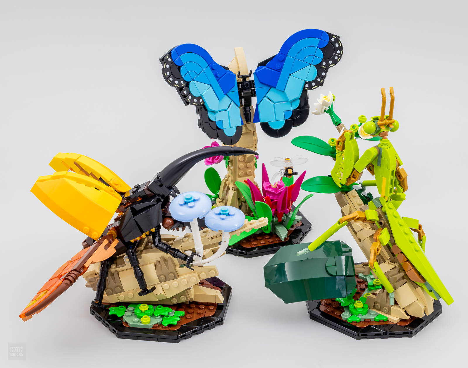 Five perfect pairings for LEGO Ideas 21342 The Insect Collection