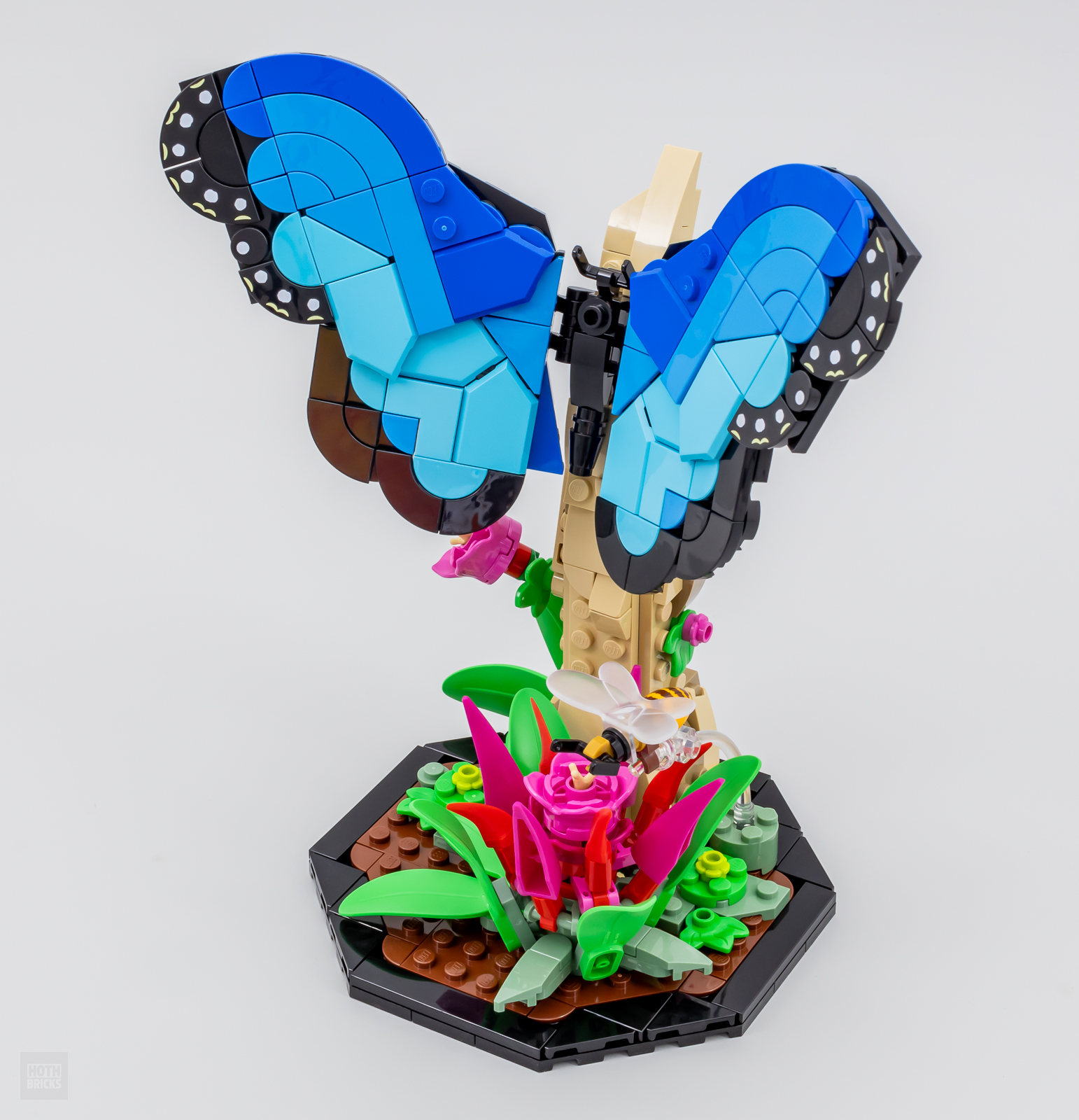 ▻ Très vite testé : LEGO Ideas 21342 The Insect Collection - HOTH BRICKS