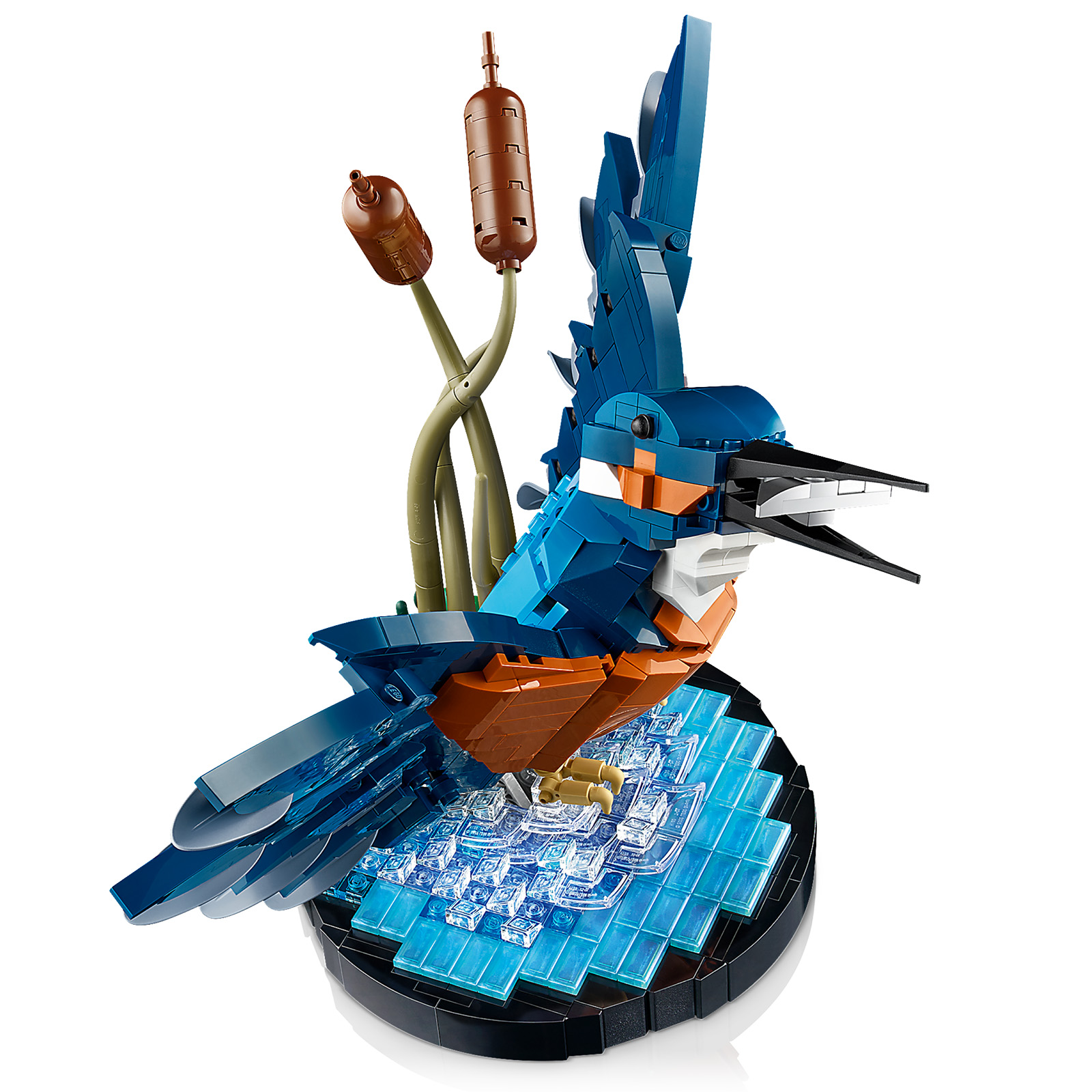 ▻ Nouveauté LEGO ICONS 2024 : le set 10331 Kingfisher est en ligne sur le  Shop - HOTH BRICKS
