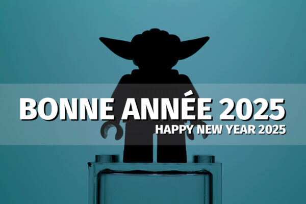 Bonne année 2025 à toutes et à tous !