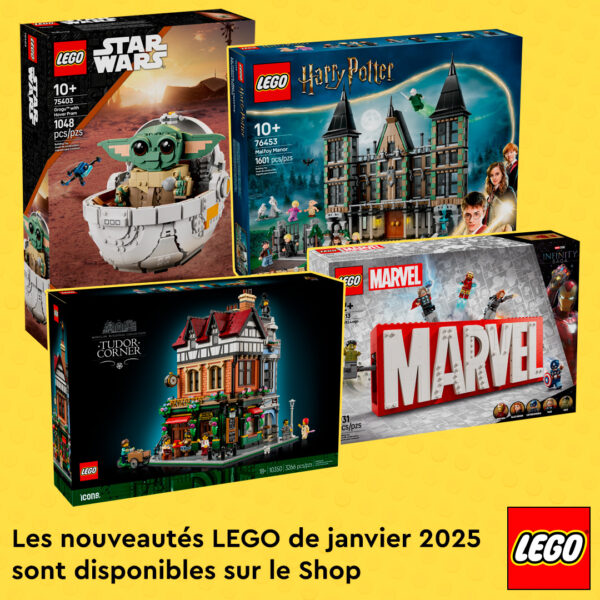 Sur le Shop LEGO : les nouveautés de janvier 2025 sont disponibles